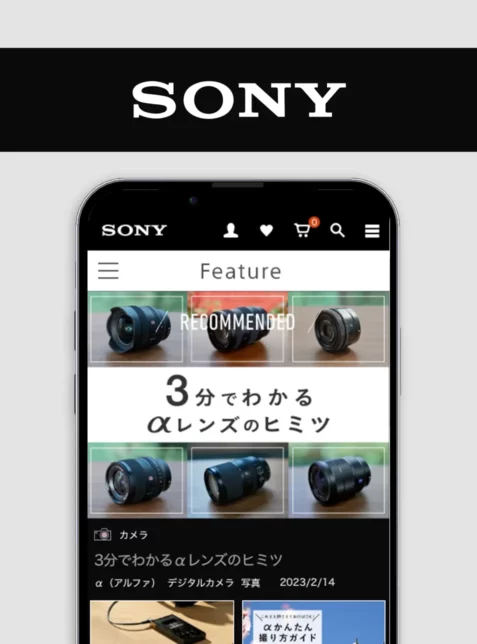 SONY Feature